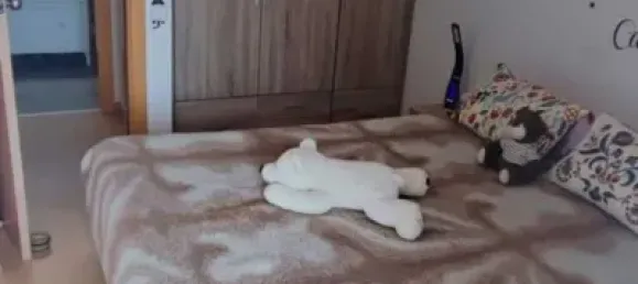 2 غرف نوم شقة في Sant Guim de Freixenet, Spain رقم 187351 2