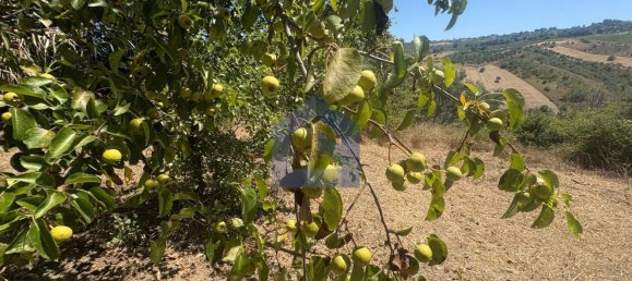 4 rooms House in Castel Frentano, Italy No. 277891 40