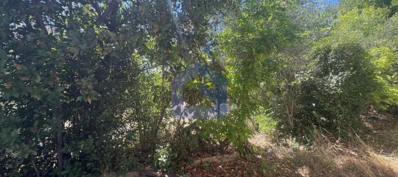 4 rooms House in Castel Frentano, Italy No. 277891 36