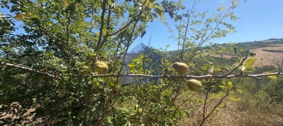 4 rooms House in Castel Frentano, Italy No. 277891 38