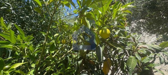 4 rooms House in Castel Frentano, Italy No. 277891 39