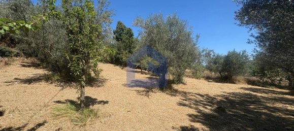 4 rooms House in Castel Frentano, Italy No. 277891 7