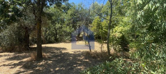 4 rooms House in Castel Frentano, Italy No. 277891 27