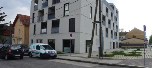 Propiedad comercial en Liesing, Austria 190 m² No. 208413 2