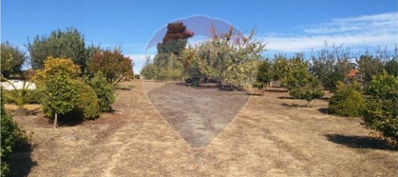 Terrain à Lamego, Portugal 1867m² No. 73040 14