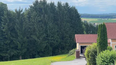 3 غرف نوم منزل في Upper Austria, Austria رقم 233368