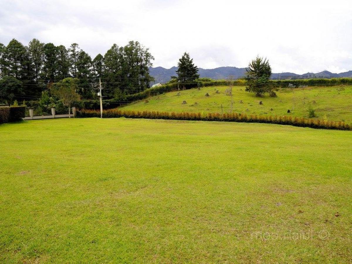  Land in Antioquia, Colombia No. 241