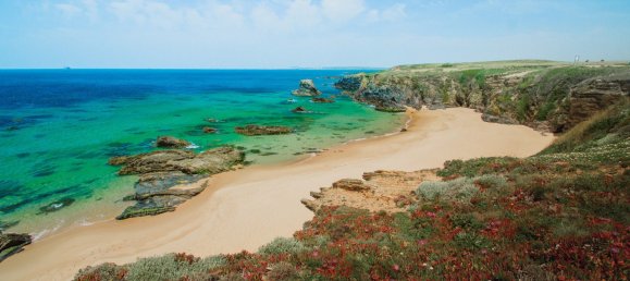 7 bedrooms Villa in Sines, Portugal No. 142362 14