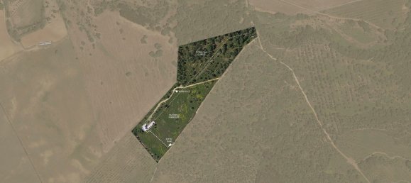 7 bedrooms Villa in Sines, Portugal No. 142362 4