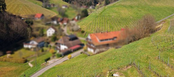 Terreno en Ortenaukreis, Germany No. 90025 7