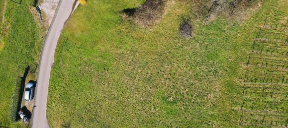 Terreno en Ortenaukreis, Germany No. 90025 6
