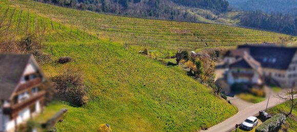 Terreno en Ortenaukreis, Germany No. 90025 5