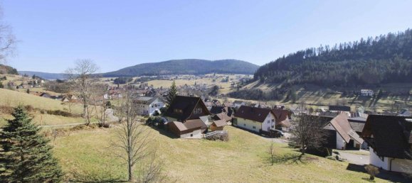 7 bedrooms House in Baden-Wurttemberg, Germany No. 108268 24