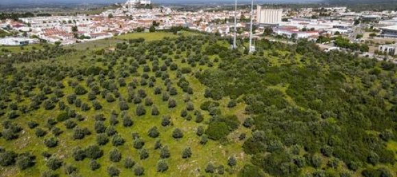 Grundstück in Estremoz, Portugal, Nr. 281650 18