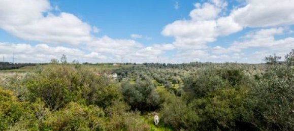 Grundstück in Estremoz, Portugal, Nr. 281650 10