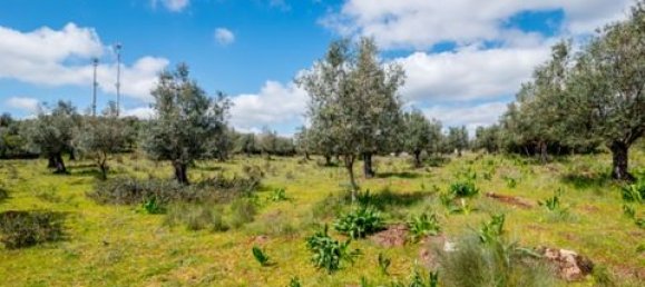 Grundstück in Estremoz, Portugal, Nr. 281650 12