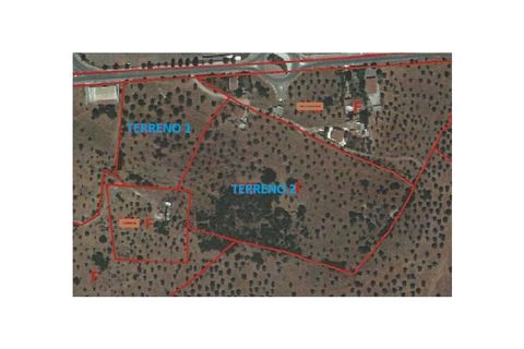  قطعة أرض في Estremoz, Portugal رقم 281650