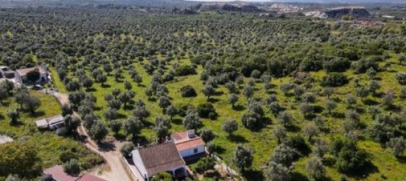 Grundstück in Estremoz, Portugal, Nr. 281650 6