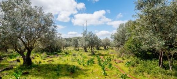 Grundstück in Estremoz, Portugal, Nr. 281650 13