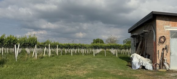 88599m² Land in Reggio Emilia, Italy No. 261373 8