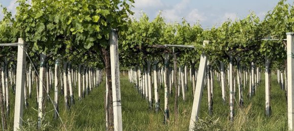 88599m² Land in Reggio Emilia, Italy No. 261373 4