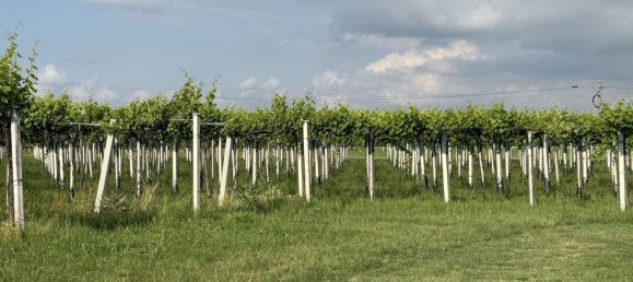 88599m² Land in Reggio Emilia, Italy No. 261373 3