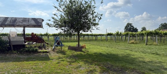 88599m² Land in Reggio Emilia, Italy No. 261373 2