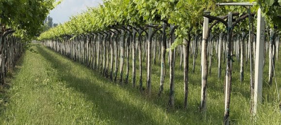 88599m² Land in Reggio Emilia, Italy No. 261373 5