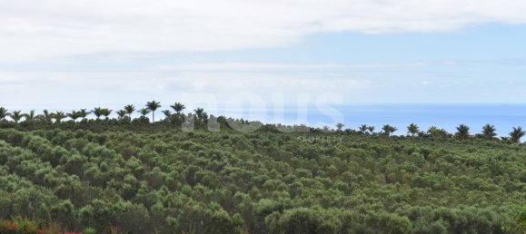 5 bedrooms Villa in Tijoco Bajo, Spain No. 13869 13