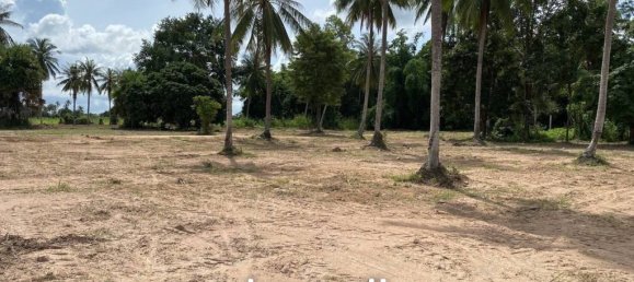 Gewerbliche Immobilie in Pattaya, Thailand 6400m², Nr. 15849 7