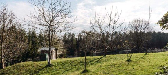 4-Zimmer Haus in Oberhaag, Austria, Nr. 247339 13