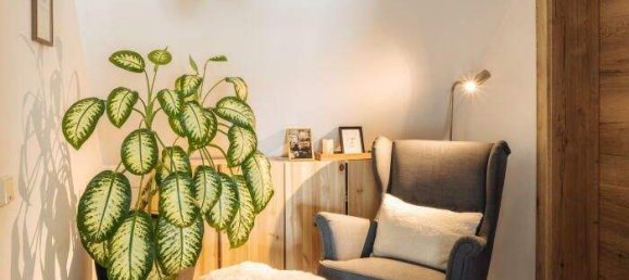 4-Zimmer Haus in Oberhaag, Austria, Nr. 247339 5