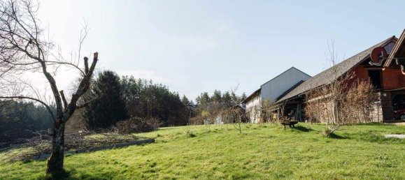 4-Zimmer Haus in Oberhaag, Austria, Nr. 247339 18