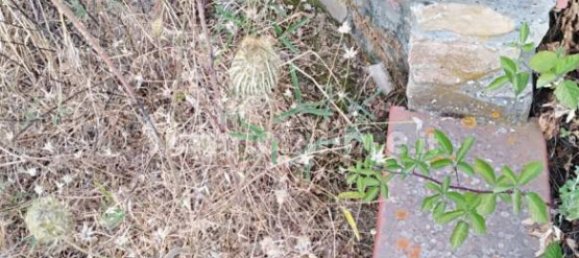 Дом с 1 спальней в Чефалу, Италия № 299226 9