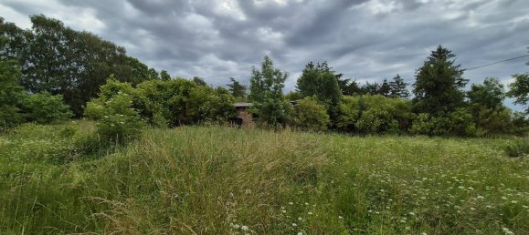 6 rooms House in Gustrow, Germany No. 204369 4