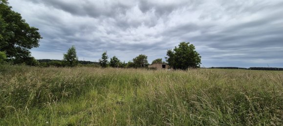 6 rooms House in Gustrow, Germany No. 204369 3