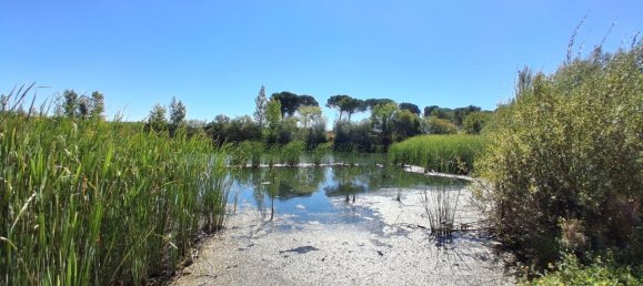 3500m² Land in Salamanca, Spain No. 142627 6