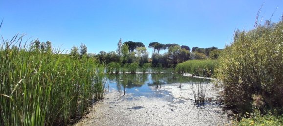 3500m² Land in Salamanca, Spain No. 142627 5