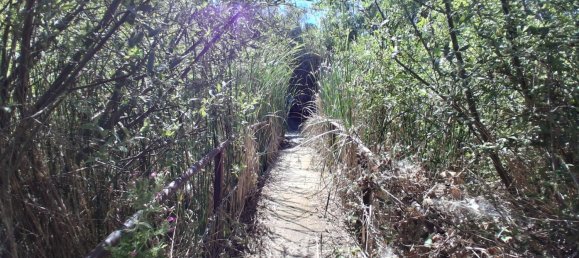 3500m² Land in Salamanca, Spain No. 142627 38