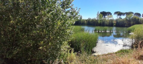 3500m² Land in Salamanca, Spain No. 142627 2