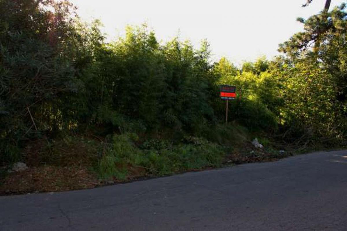 Grundstück in Maldonado, Uruguay, Nr. 15488