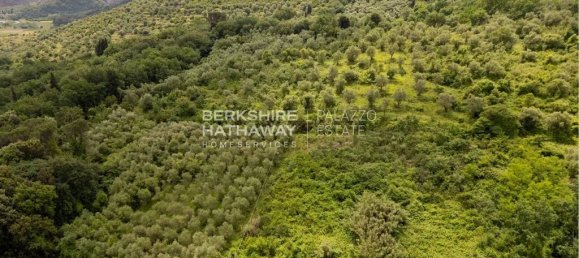 7 Schlafzimmer Villa in Vecchiano, Italy, Nr. 313197 7