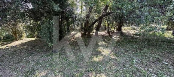  Land in Coimbra, Portugal No. 79970 14