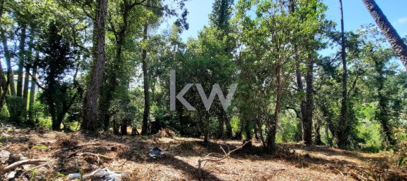  Land in Coimbra, Portugal No. 79970 7