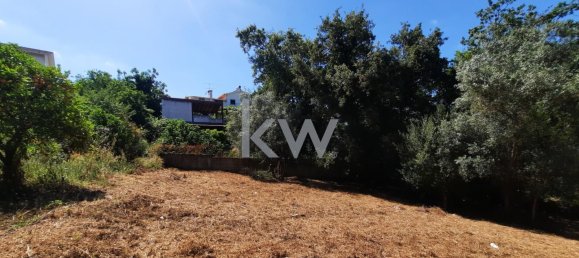  Land in Coimbra, Portugal No. 79970 5