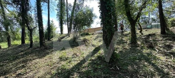  Land in Coimbra, Portugal No. 79970 19