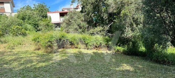 Land in Coimbra, Portugal No. 79970 12