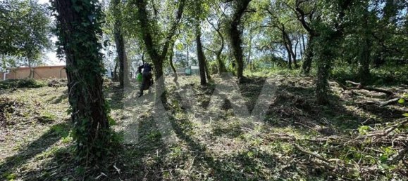  Land in Coimbra, Portugal No. 79970 18