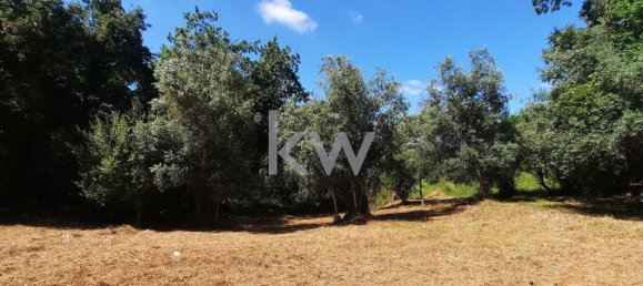  Land in Coimbra, Portugal No. 79970 21