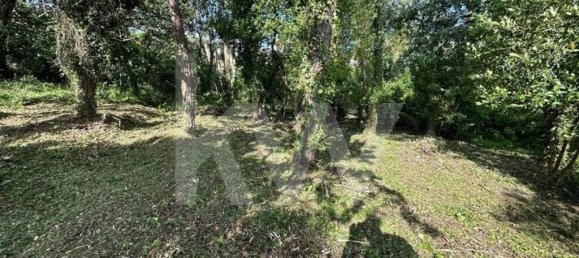  Land in Coimbra, Portugal No. 79970 20